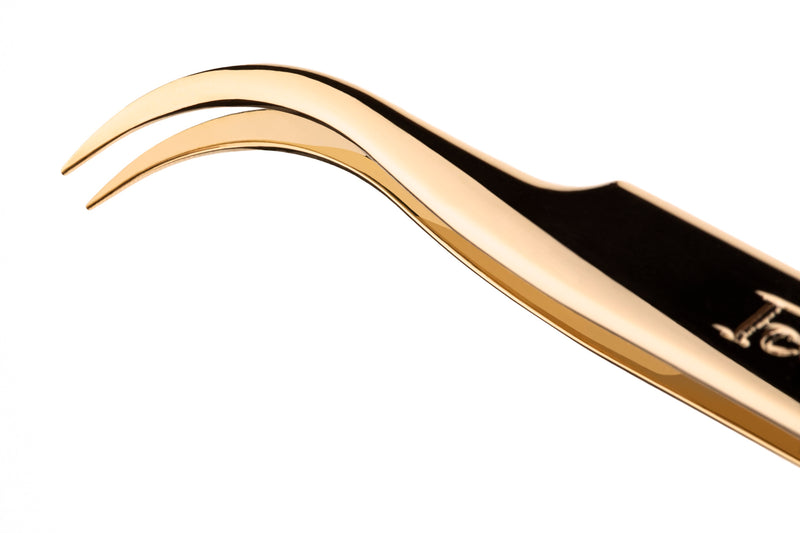 Lash Tool Kit
