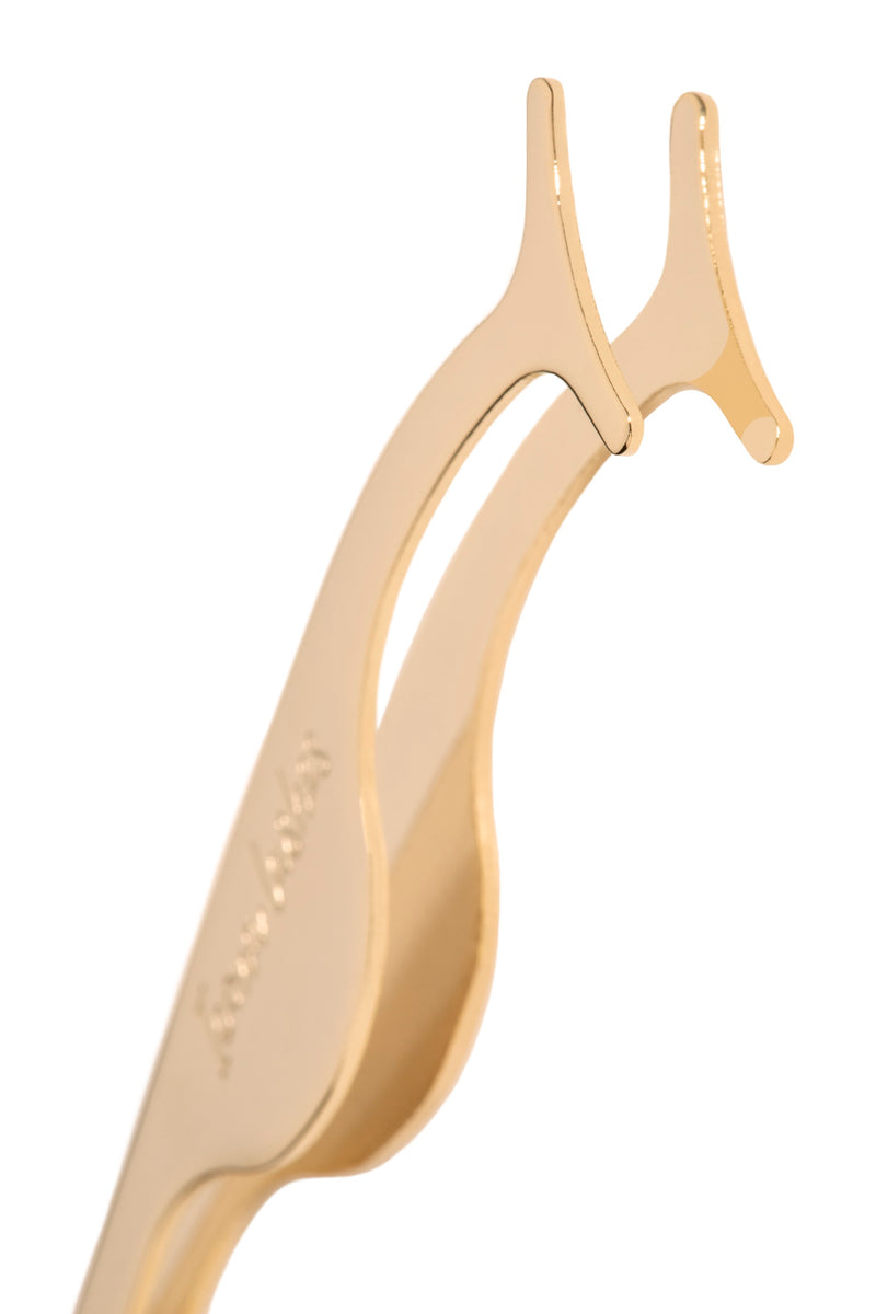 Lash Applicator